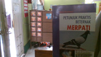 Image of Petunjuk Praktis Beternaik Merpati