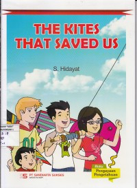 Image of the kites that saved us