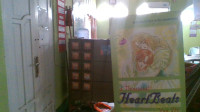 Image of A thausand Heartbeats
