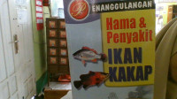 Image of Penanggulangan Hama & Penyakit Ikan Kakap