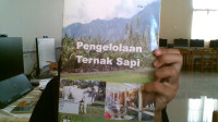 Image of pengelolaan ternak sapi