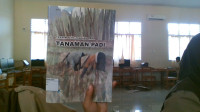 Image of teknik pemeliharan tanaman padi