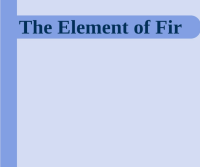 Image of W-BOOK The Element Of Fir